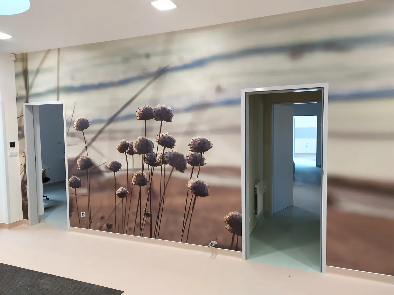 Grafika přes celou stěnu chodby